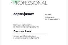 сертификат-ispring-эксперт-LMS