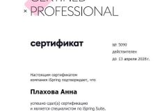 сертификат-ispring-suite